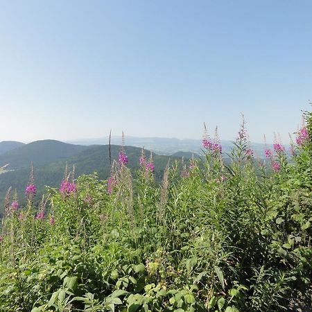 La Maison De Maidara Bed & Breakfast Olby ภายนอก รูปภาพ
