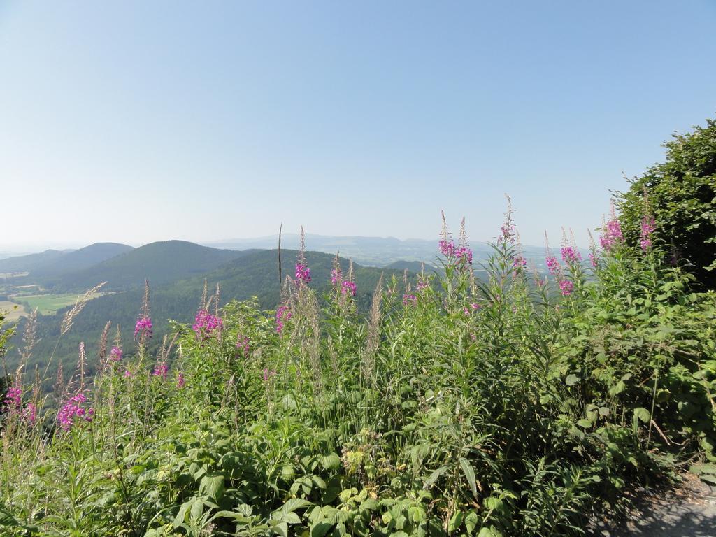 La Maison De Maidara Bed & Breakfast Olby ภายนอก รูปภาพ